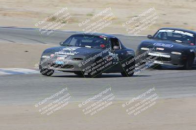 media/Nov-04-2023-CalClub SCCA (Sat) [[cb7353a443]]/Group 3/Cotton Corners (Race)/